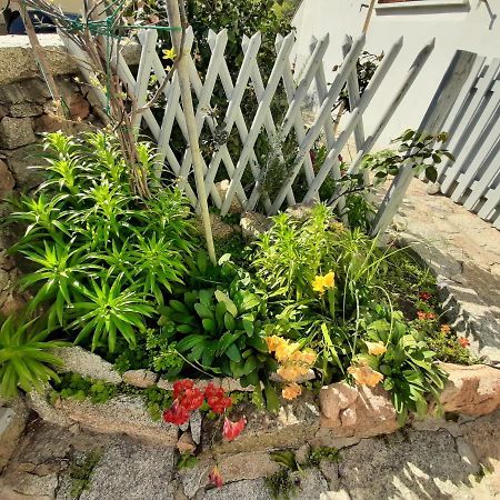 شقة I Giardini Di Carmen لا ماداّلينا المظهر الخارجي الصورة