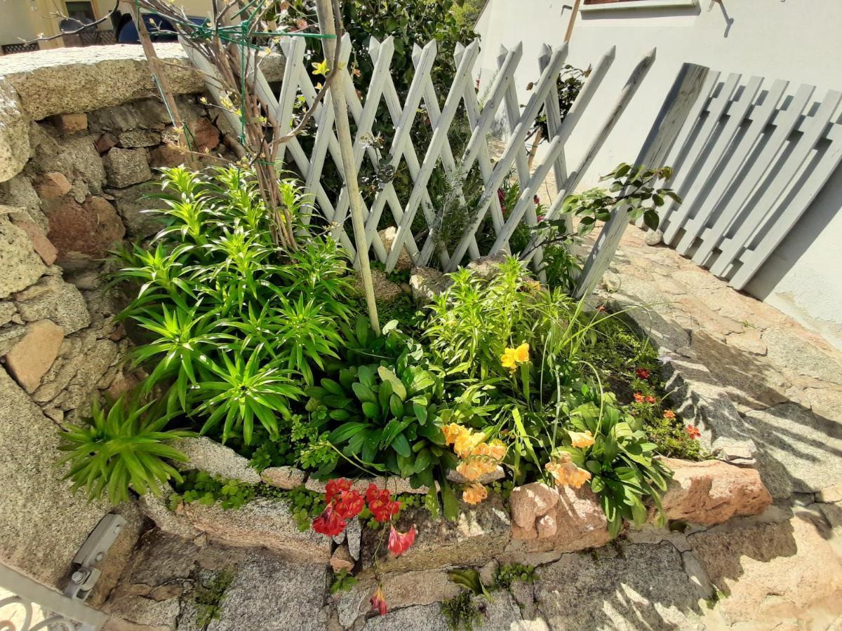 شقة I Giardini Di Carmen لا ماداّلينا المظهر الخارجي الصورة
